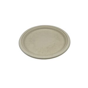 10″ Natural Bagasse Paper Plate